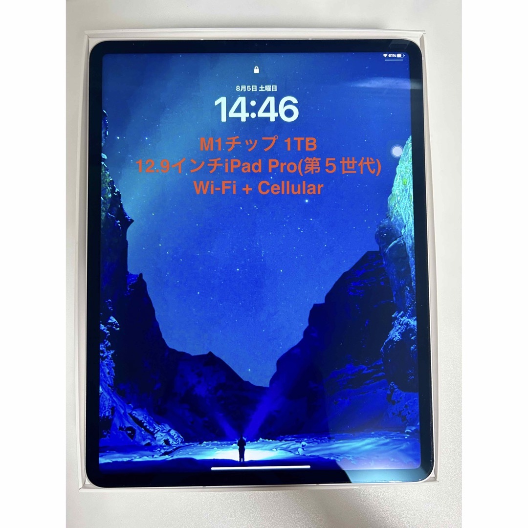 【美品】12.9インチiPad Pro Cellularモデル1TBシルバー