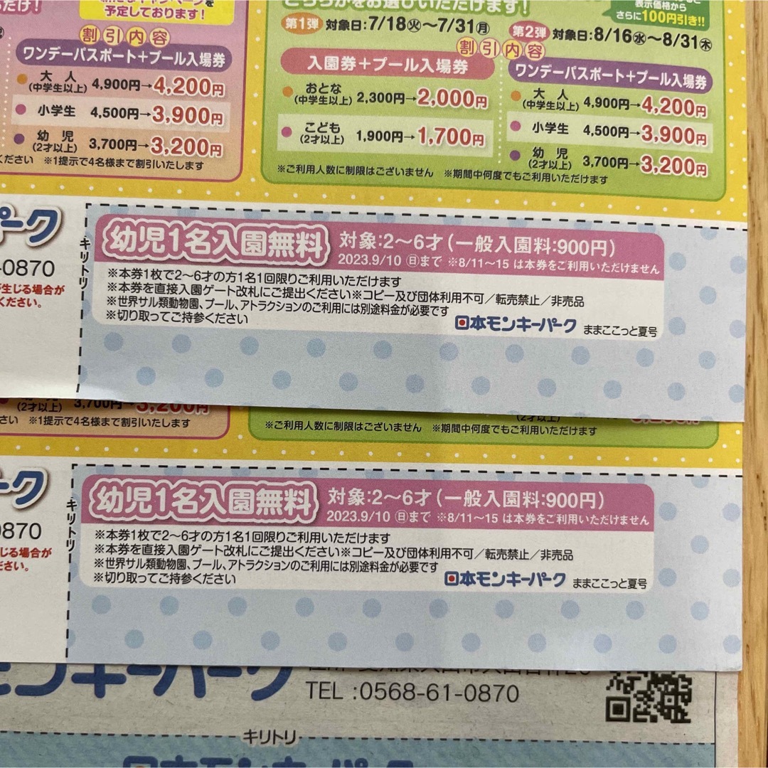 日本モンキーパーク　入園無料券 チケットの施設利用券(遊園地/テーマパーク)の商品写真