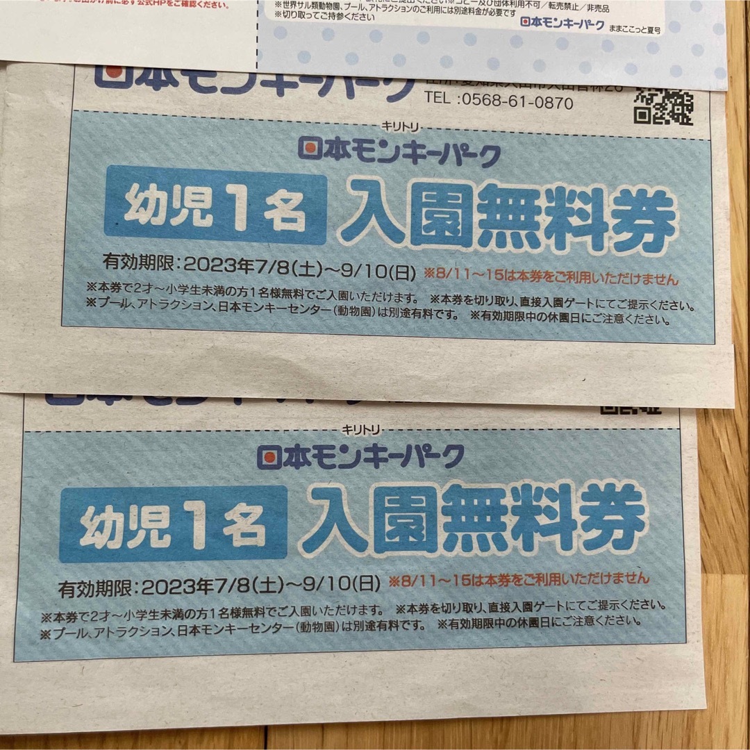 日本モンキーパーク　入園無料券 チケットの施設利用券(遊園地/テーマパーク)の商品写真