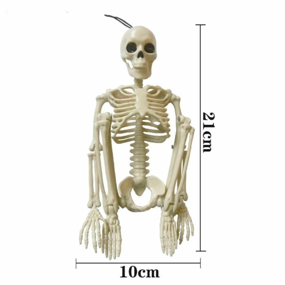 新品未使用 骸骨 スカル 模型 人形 フィギア 動く 人体模型 リアルの通販 by 月末まで発送期日+2日予定です｜ラクマ