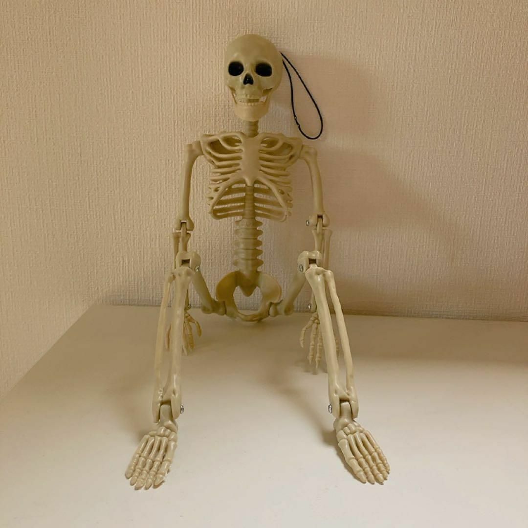 新品未使用 骸骨 スカル 模型 人形 フィギア 動く 人体模型 リアル