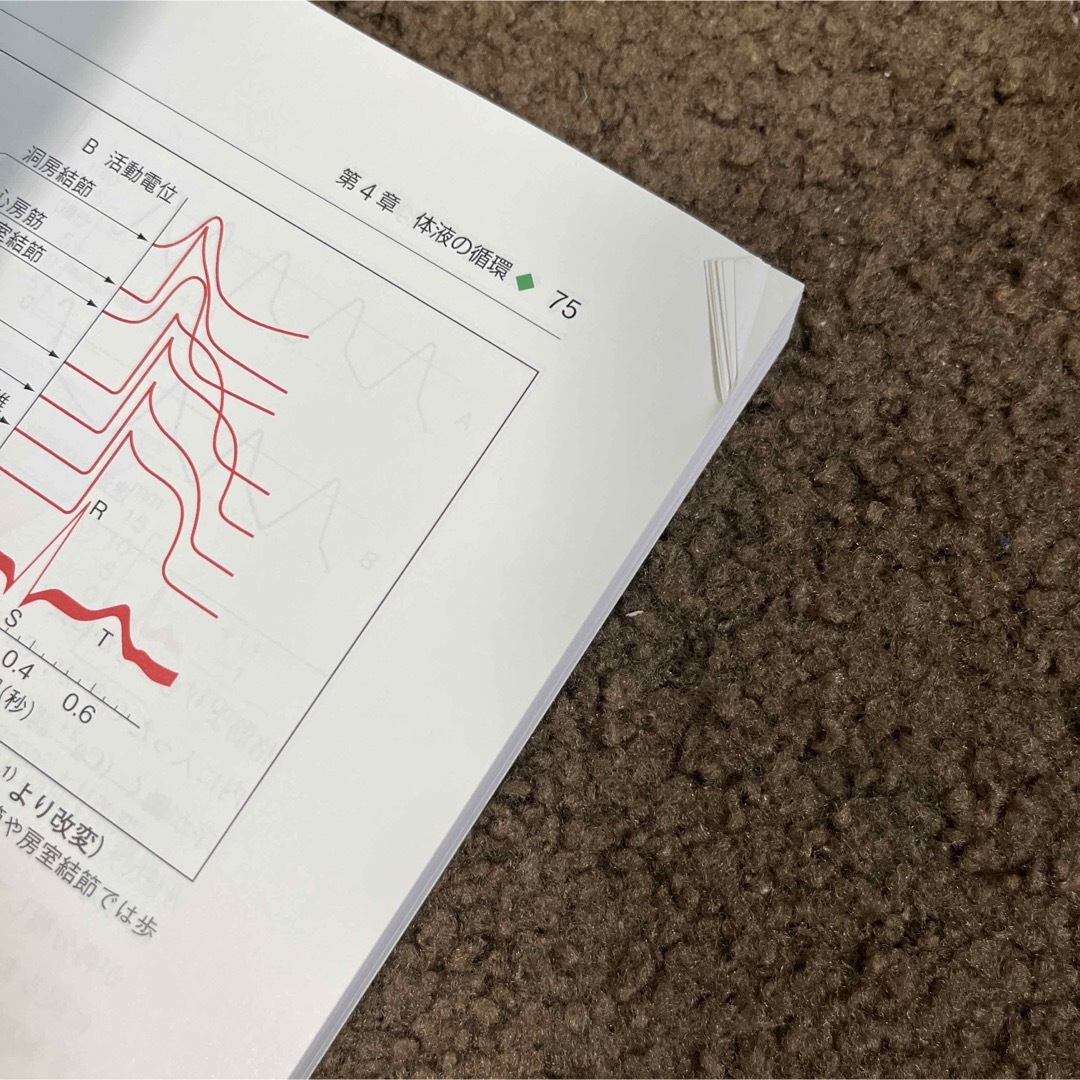 基礎歯科生理学 第6版 エンタメ/ホビーの本(健康/医学)の商品写真