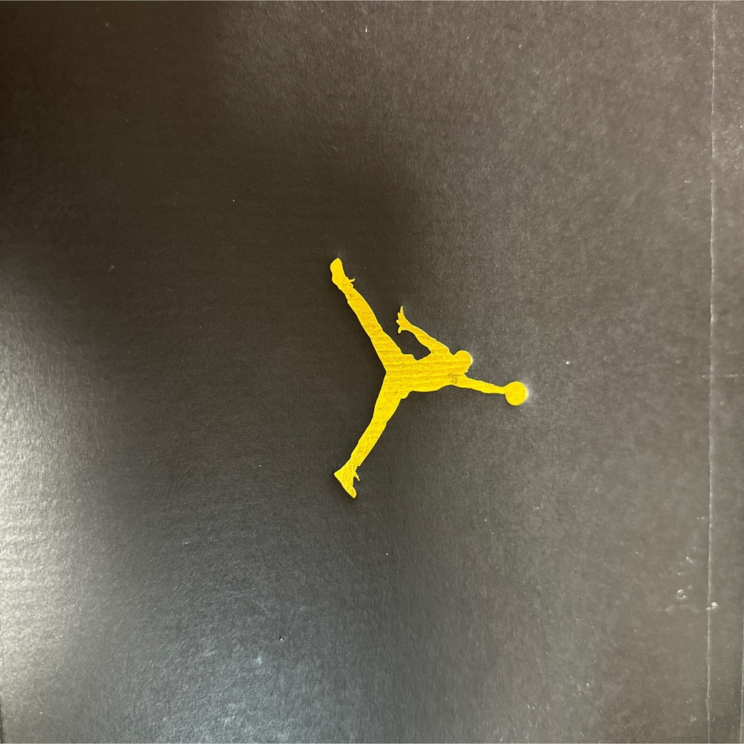 Jordan Brand（NIKE）(ジョーダン)のエアージョーダンNIKE23センチ キッズ/ベビー/マタニティのベビー靴/シューズ(~14cm)(スニーカー)の商品写真
