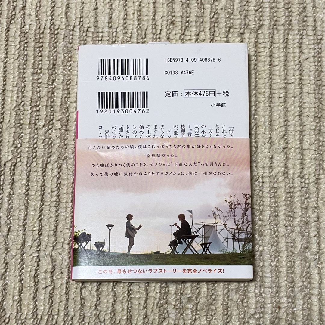 小学館(ショウガクカン)の小説 カノジョは嘘を愛しすぎてる エンタメ/ホビーの本(その他)の商品写真