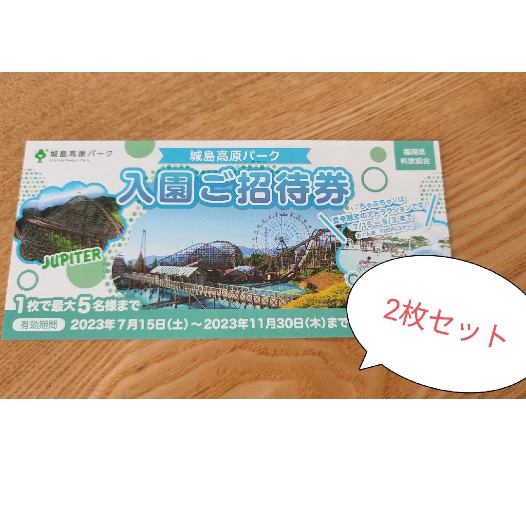 城島高原パーク無料入園券☆2枚10名様分 チケットの施設利用券(遊園地/テーマパーク)の商品写真