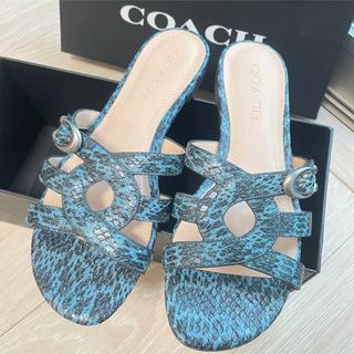 コーチ(COACH) 靴/シューズ(ブルー・ネイビー/青色系)の通販 69点