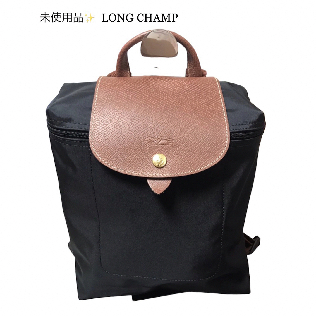 LONGCHAMP - 新品ロンシャンLONG CHAMPリュック バックパック