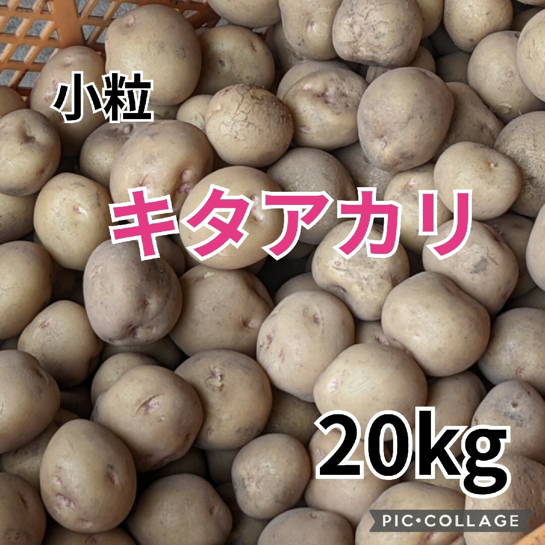 小粒 じゃがいも キタアカリ 20kg