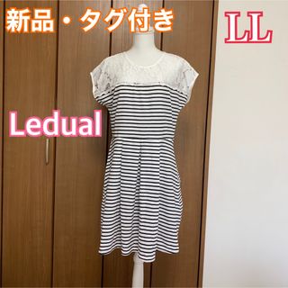 値下げ★【新品】後ろ姿まで可愛い♡レース切替ワンピース LL 大きいサイズ①(ひざ丈ワンピース)