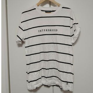 インターブリード(INTERBREED)のインターブリード　ボーダーＴシャツ(Tシャツ/カットソー(半袖/袖なし))