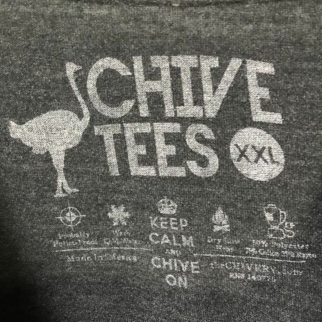 KCCO 山脈 太陽 USA輸入 オーバーサイズ Tシャツ メンズのトップス(Tシャツ/カットソー(半袖/袖なし))の商品写真