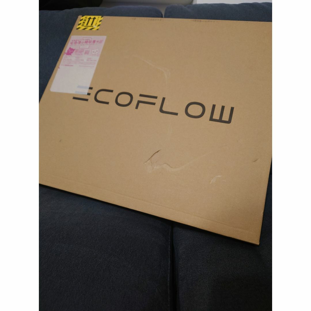 ECOFLOW　ソーラーパネル