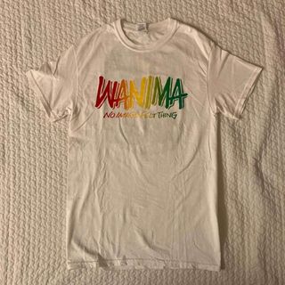 ワニマ(WANIMA)のWANIMA 2018 ツアー Tシャツ Sサイズ(ミュージシャン)