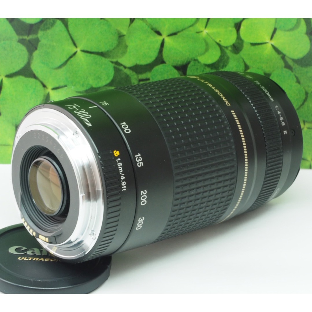 ⭐️美品　Canon キヤノン レンズ ＥＦ75-300ｍｍ Ｆ4-5.6⭐️