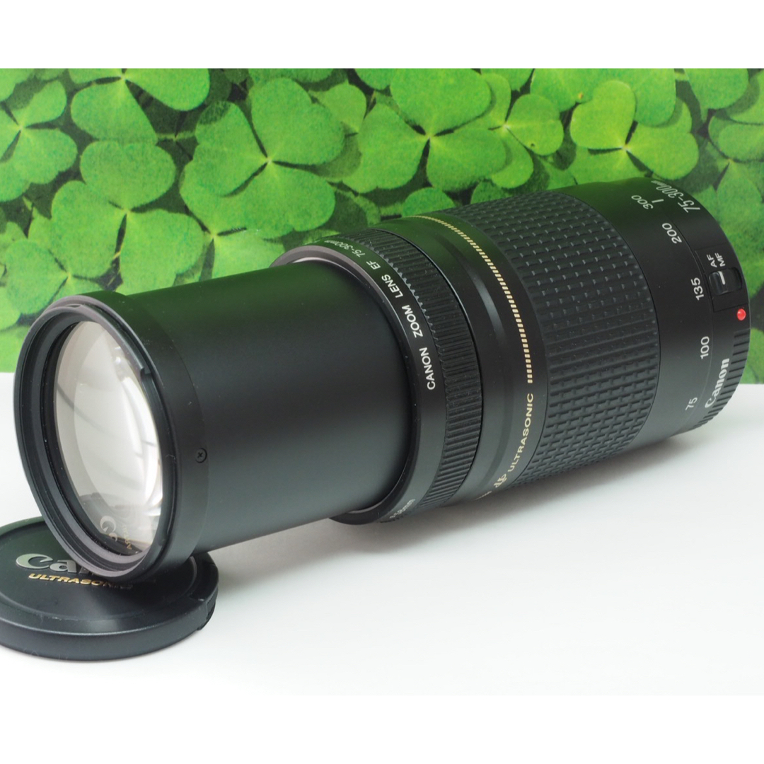 美品】キャノンEF75-300mm⭐️スポーツ、イベントで大活躍-