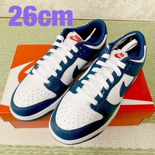 ナイキ(NIKE)のナイキ ダンク low バレリアンブルー(スニーカー)