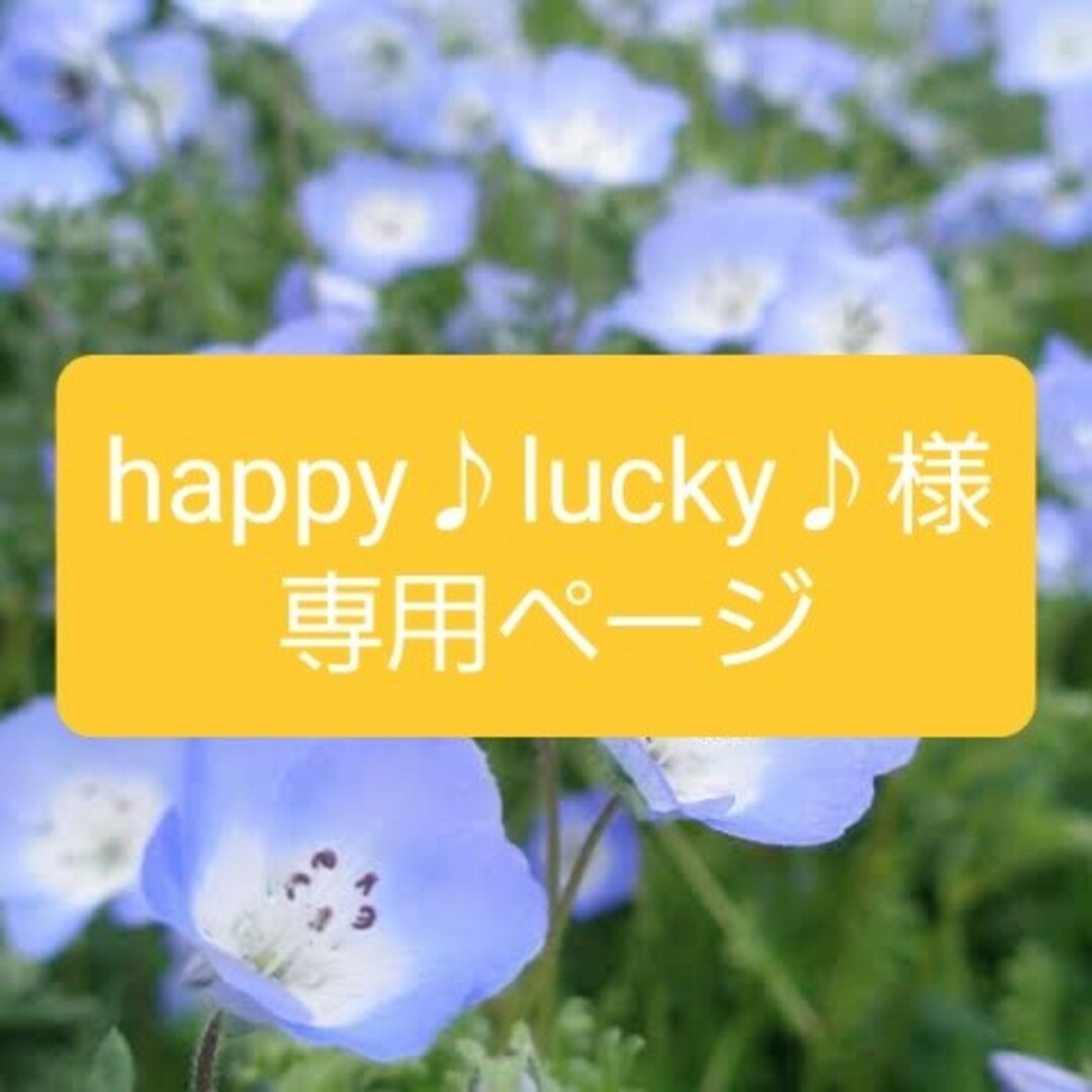 happy♪lucky♪様様専用ページの通販 by ちー✨シールshop｜ラクマ