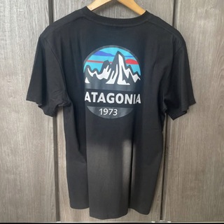 パタゴニア(patagonia)の⭕新品　パタゴニア　Tシャツ　黒M(その他)