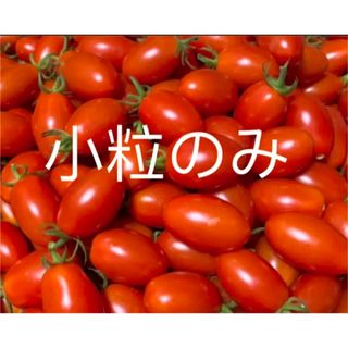 ミニトマト　ミックス　訳あり（中小粒）　新鮮　無農薬1キロ(野菜)