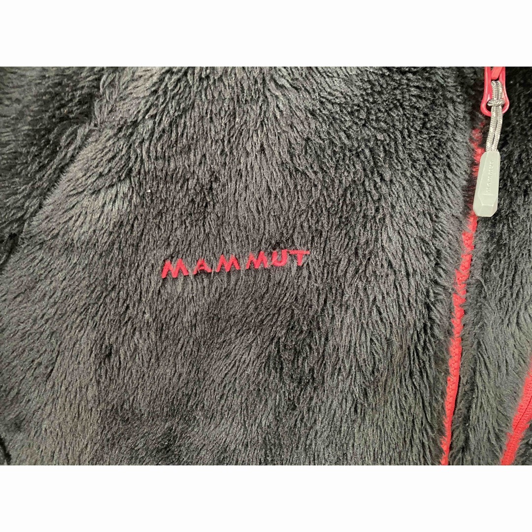 Mammut(マムート)のMAMMUT メンズLサイズ メンズのトップス(パーカー)の商品写真