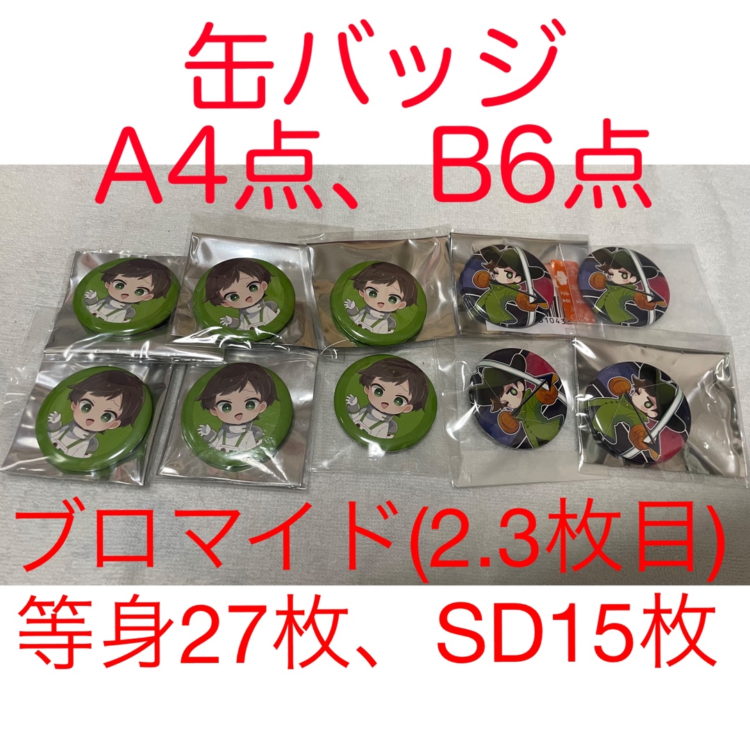 しんたろー とびユニ 缶バッジ ブロマイド | www.innoveering.net