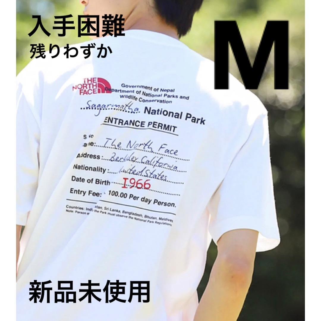 THE NORTH FACE BACK GRAPHIC PRINT 新作