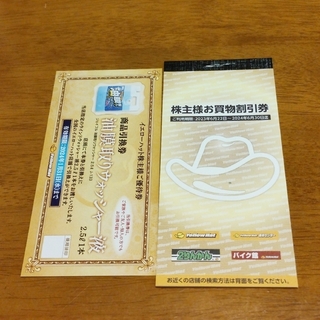 イエローハット 株主優待券 3000円分 + ウォッシャー液引換券(ショッピング)