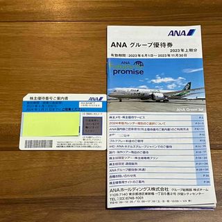 エーエヌエー(ゼンニッポンクウユ)(ANA(全日本空輸))のANA株主優待券　1枚(航空券)