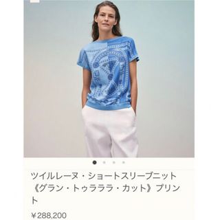 エルメス(Hermes)の【HERMES】エルメス ツイルレーヌショートスリーブシルクニット(カットソー(半袖/袖なし))