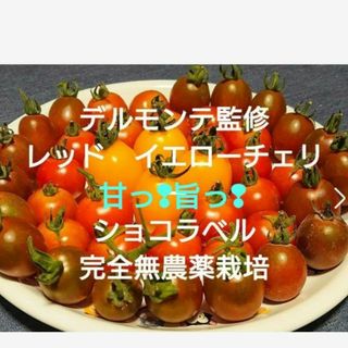 デルモンテ監修　レッド　イエローチェリーミニトマト　ショコラベル　完全無農薬栽培(野菜)