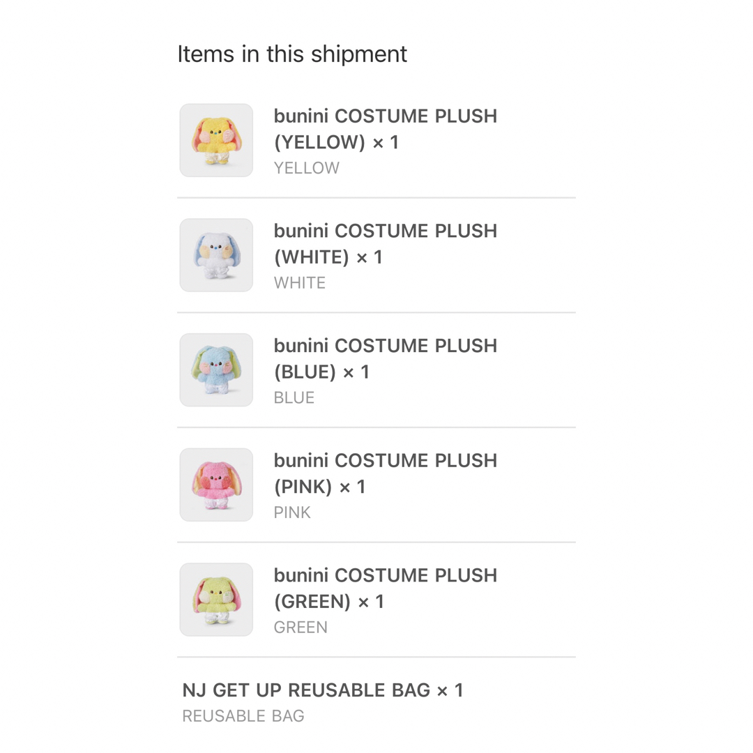 NewJeans bunini COSTUME PLUSH 全種類