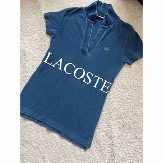 ラコステ(LACOSTE)の美品　LACOSTE ラコステ　トップス　ポロシャツ　インディゴ　人気　完売(ポロシャツ)