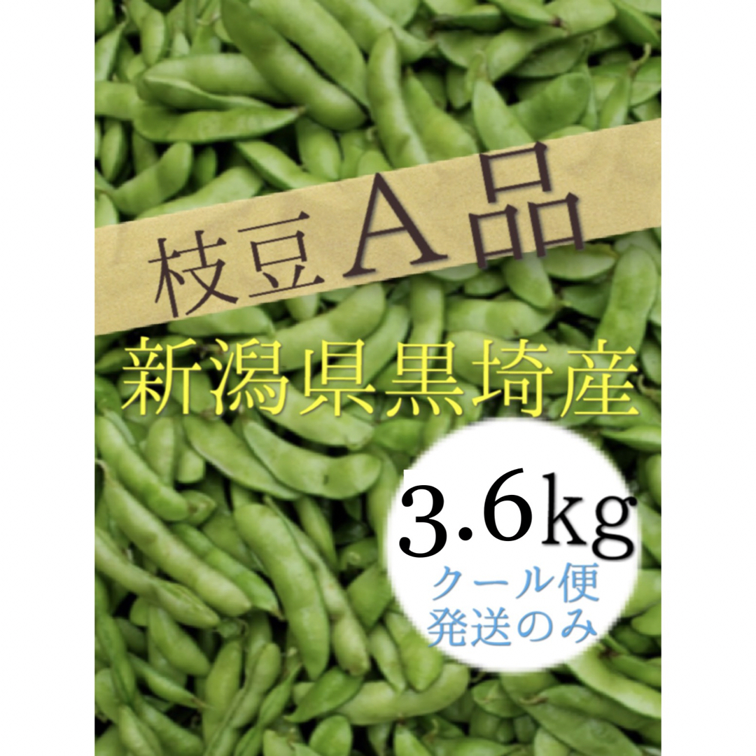 32 （11日発送）【A品3.6kg】農家直送　新潟県黒埼産　えだまめ