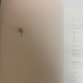 整体DVD+テキスト(汚れあり)【スキンドライブシステムセミナーDVD】新井洋次