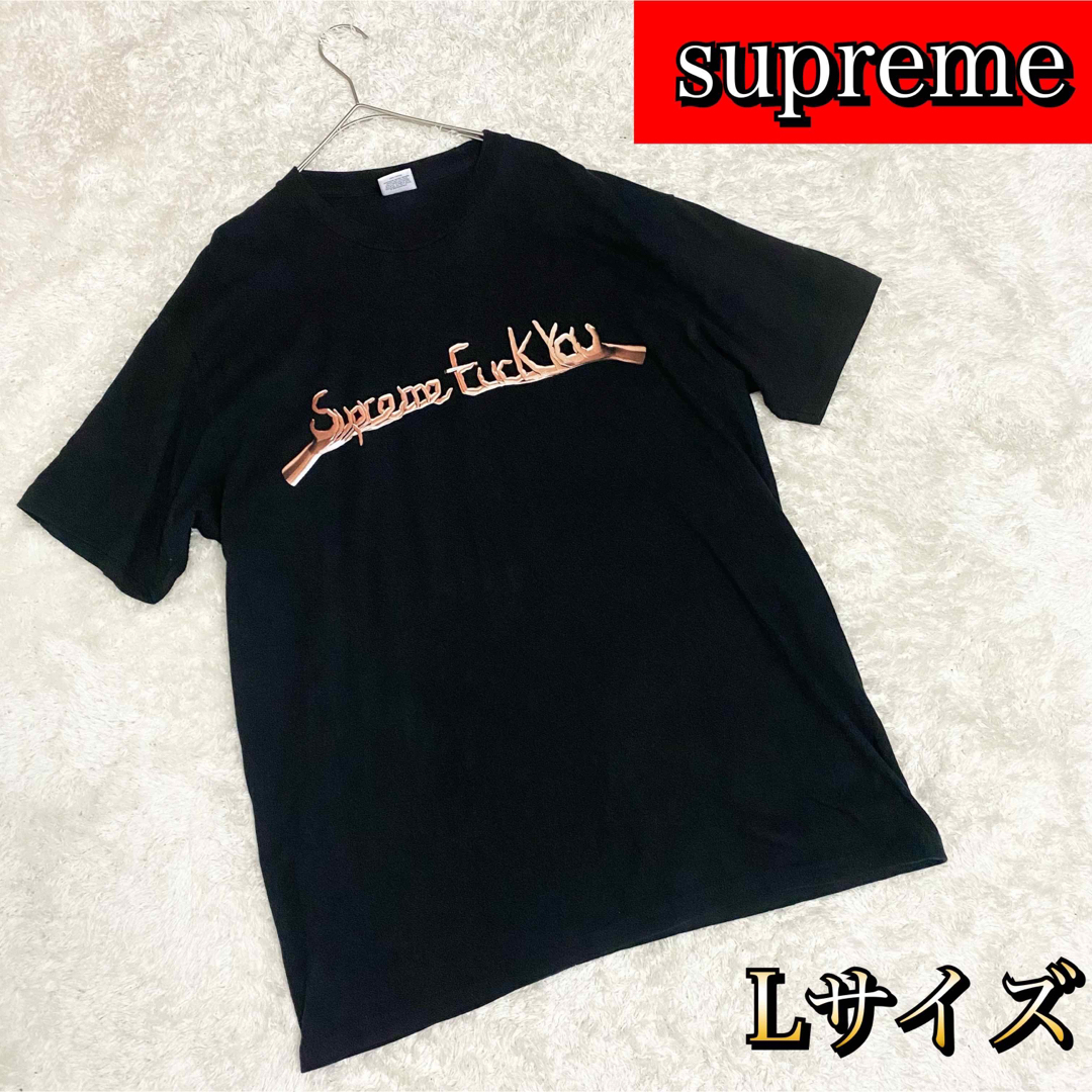 supreme シュプリーム　Tシャツ ブラック　Lサイズ　プリント　半袖