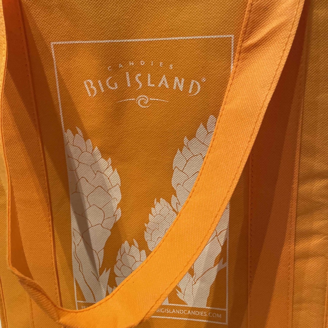 DEAN & DELUCA(ディーンアンドデルーカ)のBig Island 保冷バッグ　オレンジ　ハワイ　2023 レディースのバッグ(エコバッグ)の商品写真