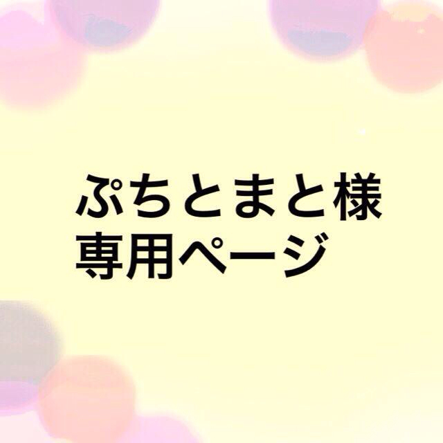 ぷちとまと様専用ページ コスメ/美容のネイル(つけ爪/ネイルチップ)の商品写真