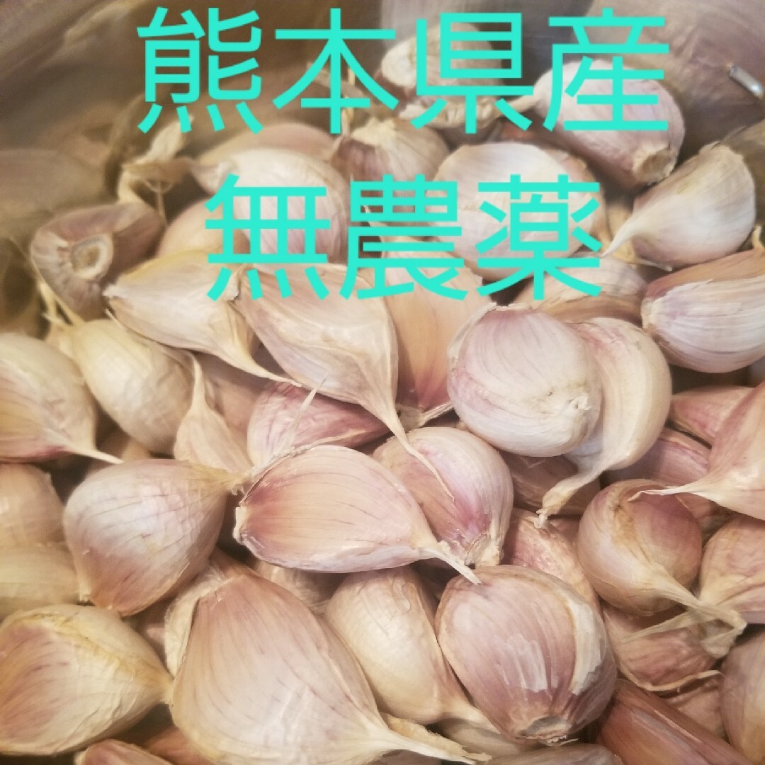 熊本県産　農薬不使用　にんにくバラ500g 食品/飲料/酒の食品(野菜)の商品写真