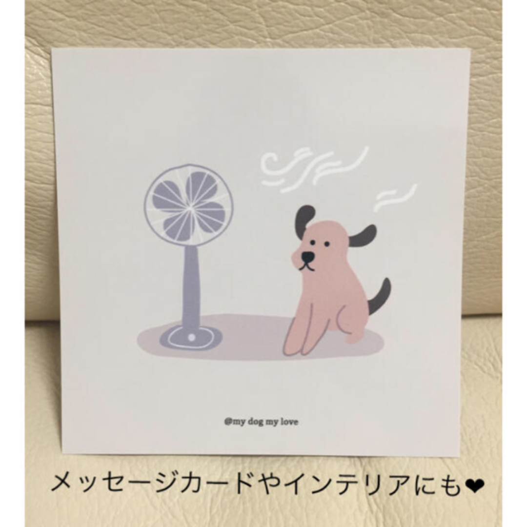 レア メッセージカード インテリアにも❤︎ 風が気持ちいい 犬 人気完売品 エンタメ/ホビーのおもちゃ/ぬいぐるみ(キャラクターグッズ)の商品写真