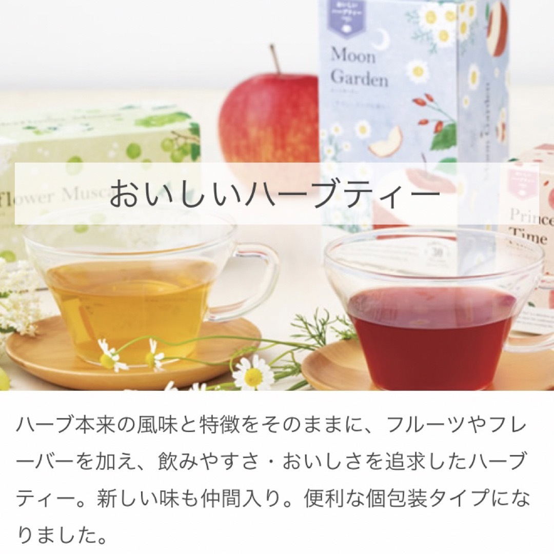 生活の木(セイカツノキ)の生活の木　おいしいハーブティー  お試し全10種×5包ずつ　お茶　ノンカフェイン 食品/飲料/酒の飲料(茶)の商品写真