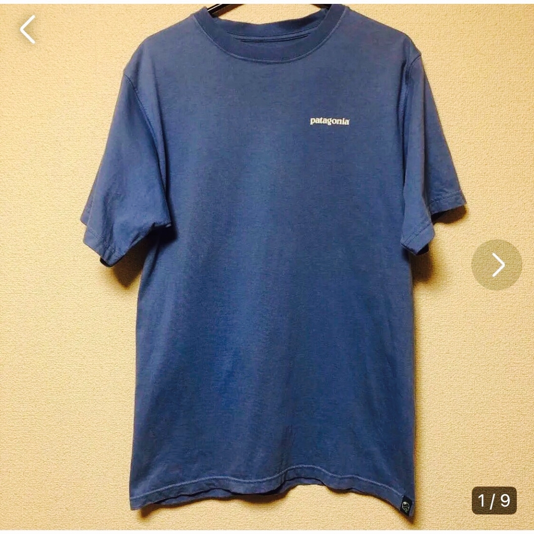 Patagonia old T