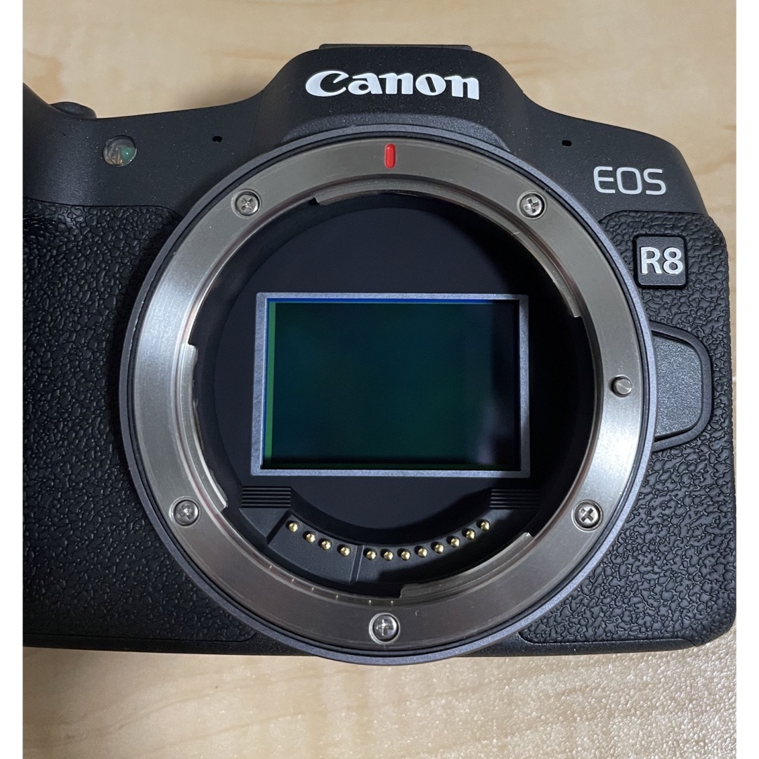 値引きする EOS R8 RF24-50 IS STMレンズキット ミラーレス一眼