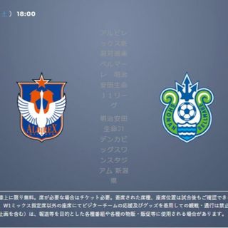 アルビレックス新潟 湘南ベルマーレ J1 サッカー チケット2枚(サッカー)