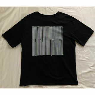 サイダーハウス(CYDERHOUSE)のCYDERHOUSE バックプリント Tシャツ M/サイダーハウス/グラフィック(Tシャツ/カットソー(半袖/袖なし))