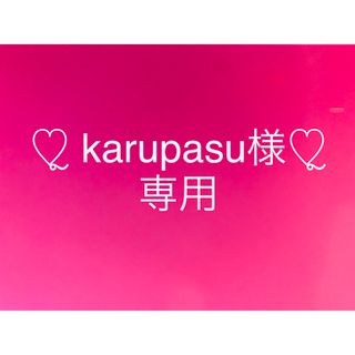 ꙳★*ﾟkarupasu様 専用꙳★*ﾟ(パチンコ/パチスロ)