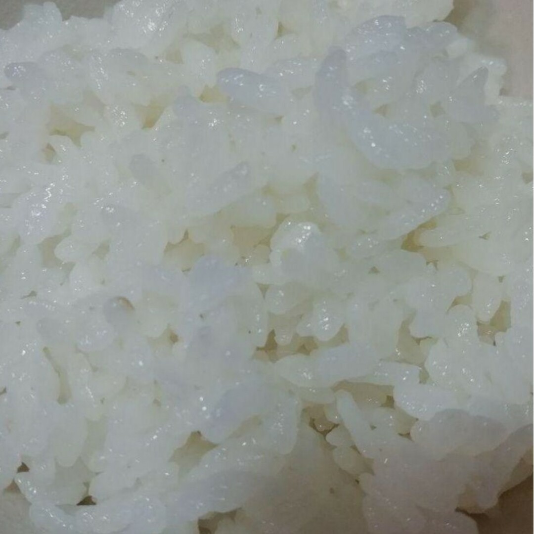 お米5kg×2合計10kg 令和4年魚沼産コシヒカリ白米 食品/飲料/酒の食品(米/穀物)の商品写真