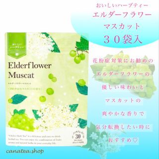 セイカツノキ(生活の木)のエルダーフラワーマスカットティーバック30袋入　生活の木　おいしいハーブティー(茶)