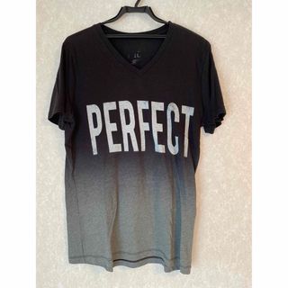 フォーエバートゥエンティーワン(FOREVER 21)のforever21 おしゃれグラデーションTシャツPERFECTロゴ Lサイズ (Tシャツ/カットソー(半袖/袖なし))