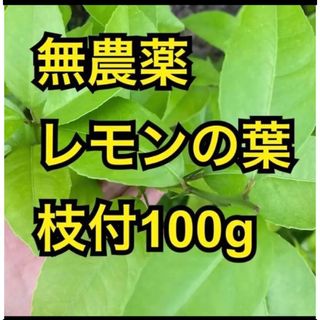 農薬不使用　レモンの葉　枝付100g(その他)