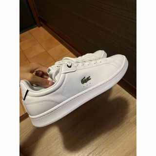 ラコステ(LACOSTE)のラコステ  スニーカー　新品(スニーカー)